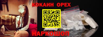 шишки Обь