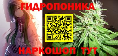 тгк Новозыбков