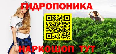 тгк Новозыбков