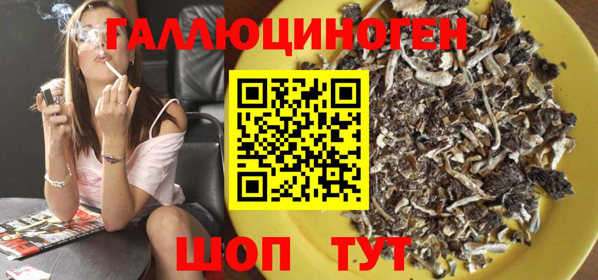 Псилоцибиновые грибы Psilocybe Саранск