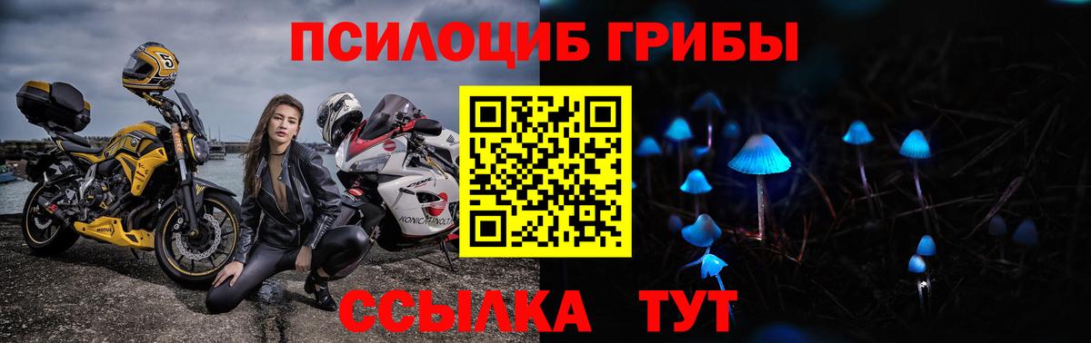 Саранск  Галлюциногенные грибы GOLDEN TEACHER  Вход с VPN 